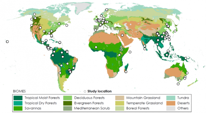 Global distribution of forest leaf litter decomposition experiment used in this study. (Illustration adapted from respective paper)